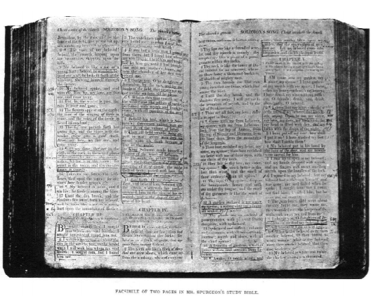 Charles Spurgeon Study Bible